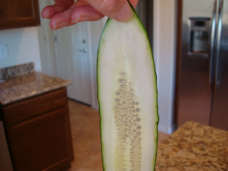 Hand holding on thinly sliced cucumber