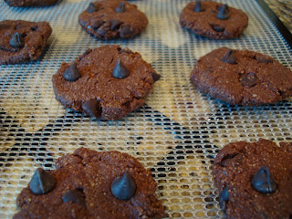 Close up of Batter formed into cookie shapes and placed on dehydrator tray