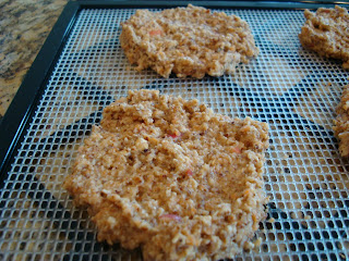 Close up of mixture formed into pancake patties and placed on dehydrator trays