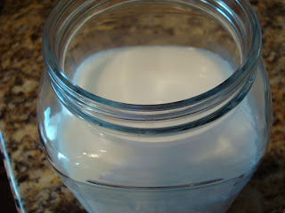 Homemade coconut milk vegan kefir in jar