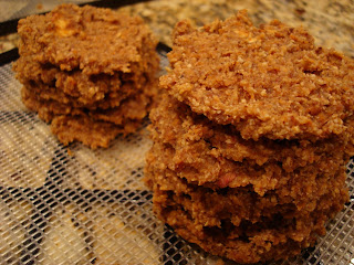 Stacks of Raw Vegan Apple Carrot (Pan)Cakes on dehydrator tray - 45