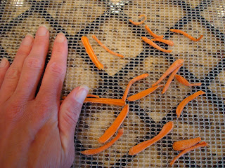 Dehydrated carrots on tray with hand next to them