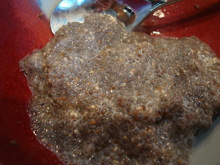 Vanilla Chia Seed Pudding in red bowl with spoon