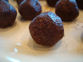 Close up of one Raw Vegan Chocolate Donut Hole