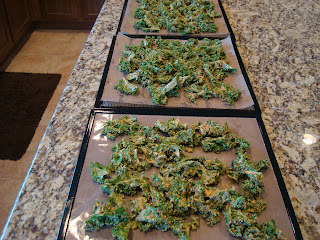 Kale Chips spread on dehydrator trays