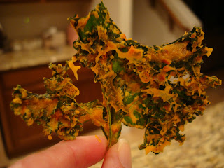 Close up of hand holding large Kale Chip