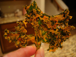 Close up of Vegan Kale Chip - 35
