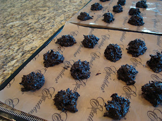Dark Chocolate Macaroons on lined dehydrator trays