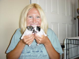 Woman holding two newborn puppies