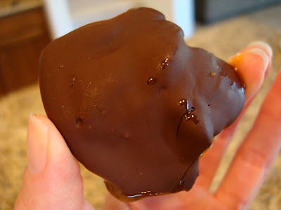 Hand holding one High Raw Vegan Chocolate "Turtle"