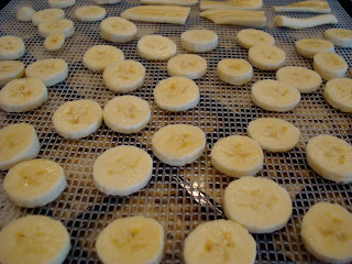 Banana slices on dehydrator tray
