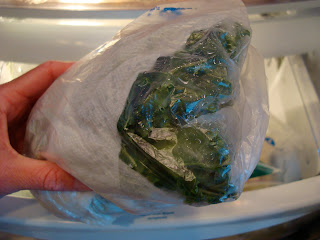 Bag of Kale