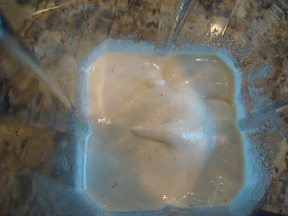 Vegan Vanilla Softserve in blender - 29