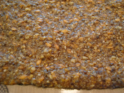 Close up of Seeds Only Crackers mixture