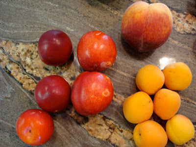 Plums, peach and nectarines