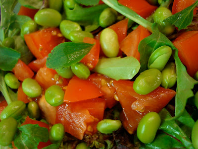 Close up of Edamame Salad with stevia leaves