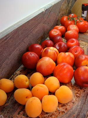 Side view of countertop filled with various fruits - 19