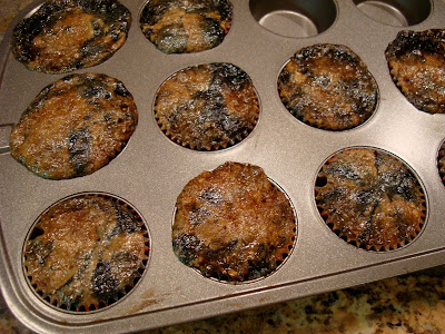 Side view of muffin tin full of Vegan Gluten Free Blueberry Streusel Muffins