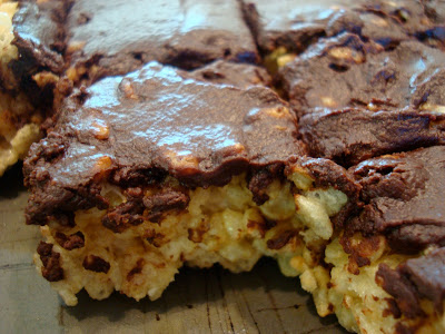 Side of bars topped with Vegan Chocolate Frosting