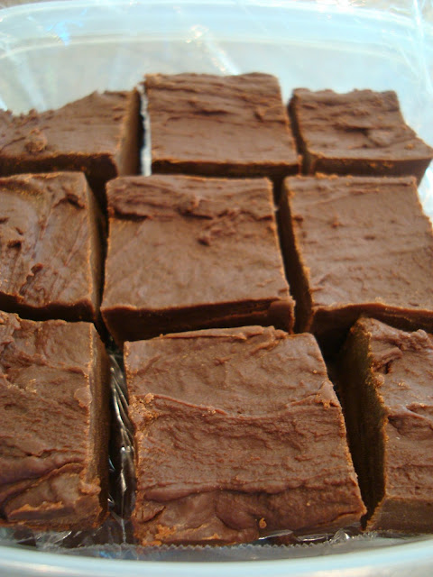 Sliced Chocolate Peanut Butter Fudge in container