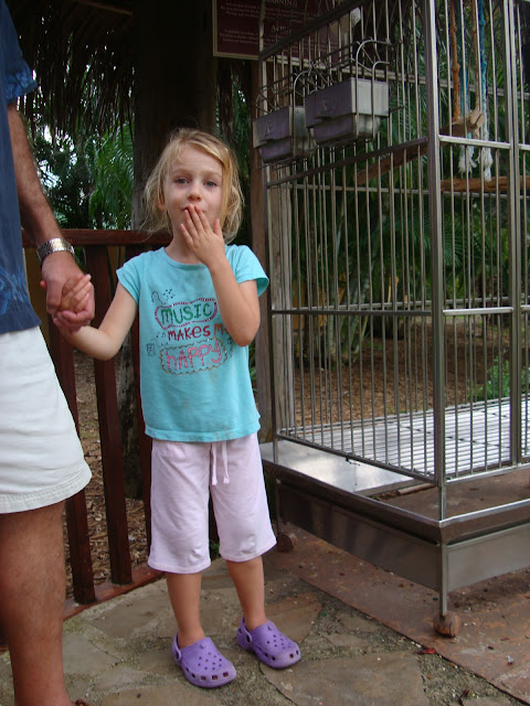 Drinks on the Beach Shots at Home - 18