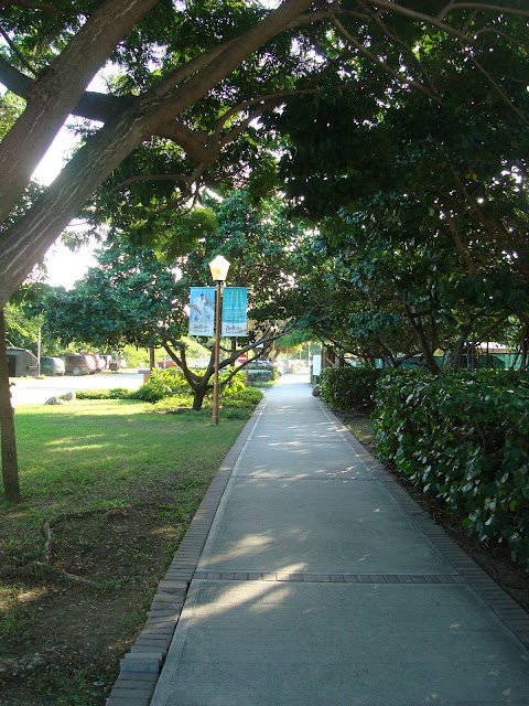 Gingerbread Cookie Decorating Memories - 18