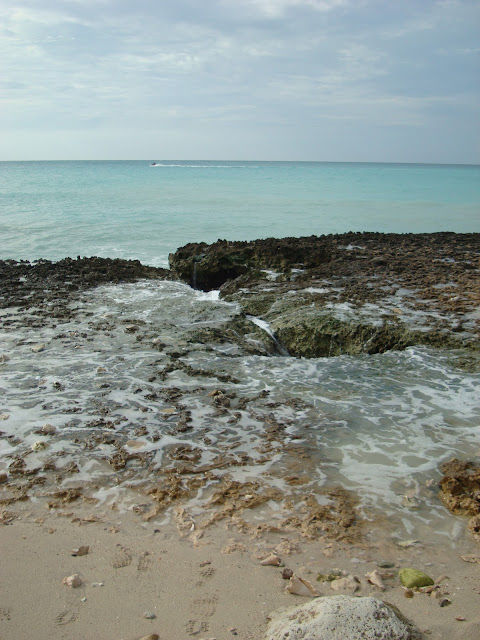 Water and rocks with beach in Aruba