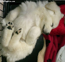 Sleeping on a coat pile