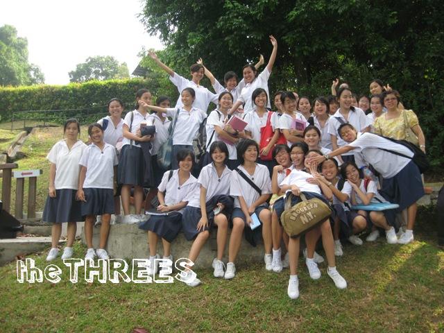 theTHREEES
