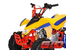 Gio Mini Beast 110cc ATV