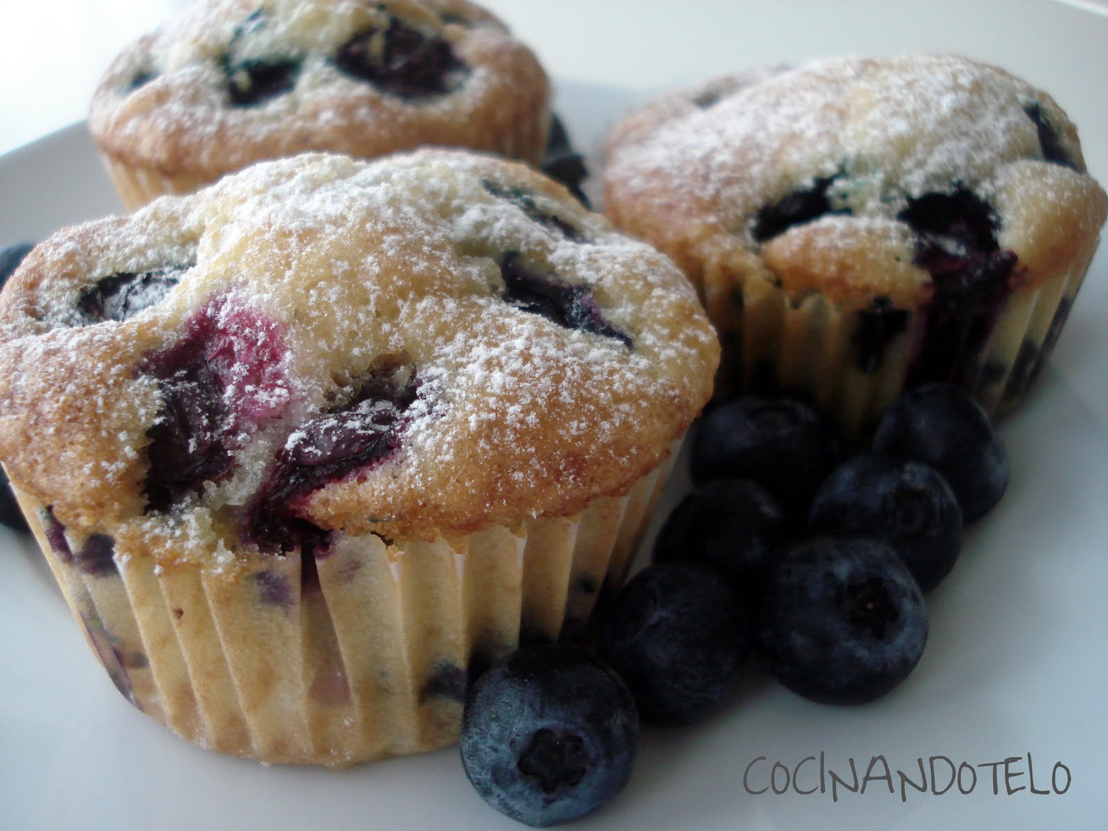 Cocinándotelo MUFFINS DE ARANDANOS FRESCOS