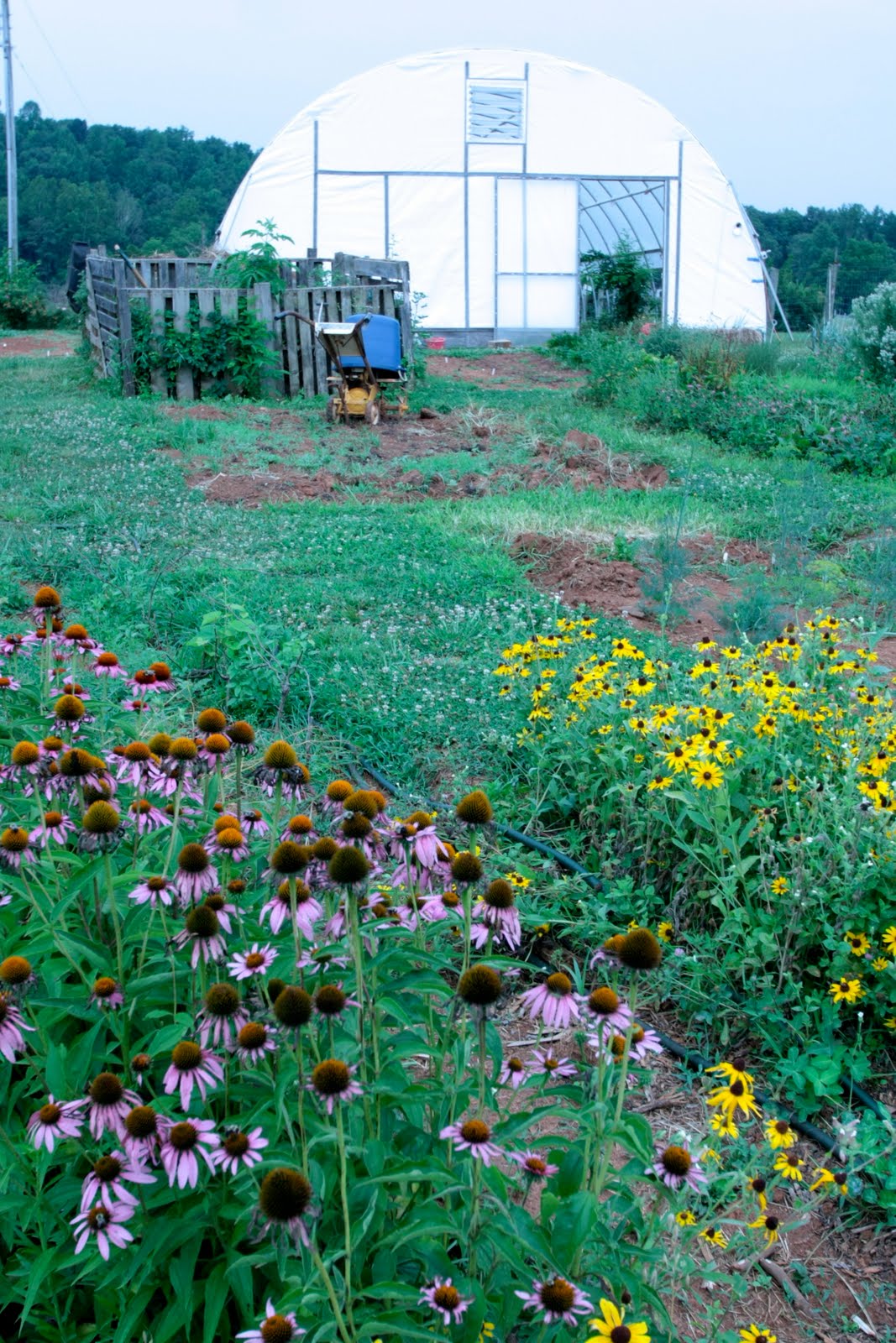 The Farm Stay Project Brightwood Vineyard and Farm