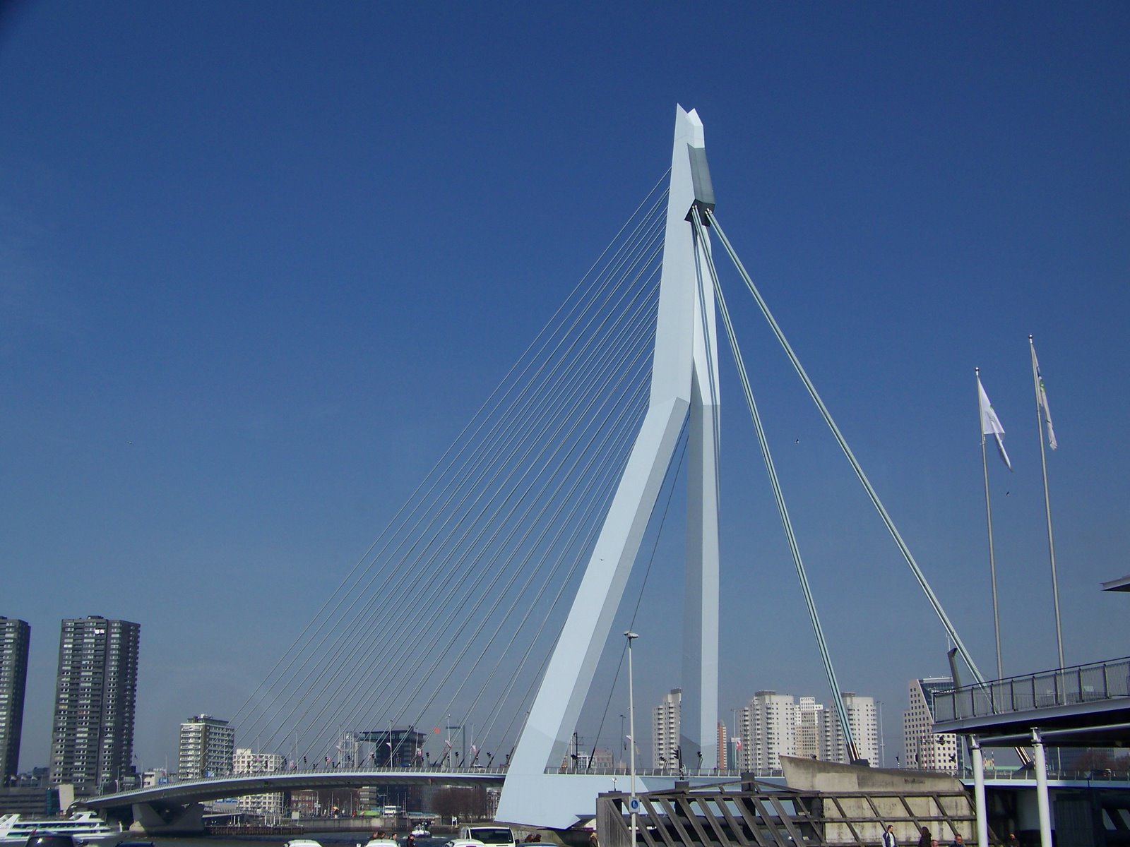 [Waterways+of+Belgium+&+Holland+2009+ROTTERDAM+3-31-2009+Swan+Bridge++444+(9).jpg]