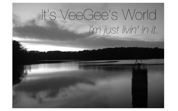 It's VeeGee's World