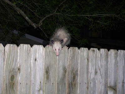 One For The Road: 8/8/10 - 8/15/10