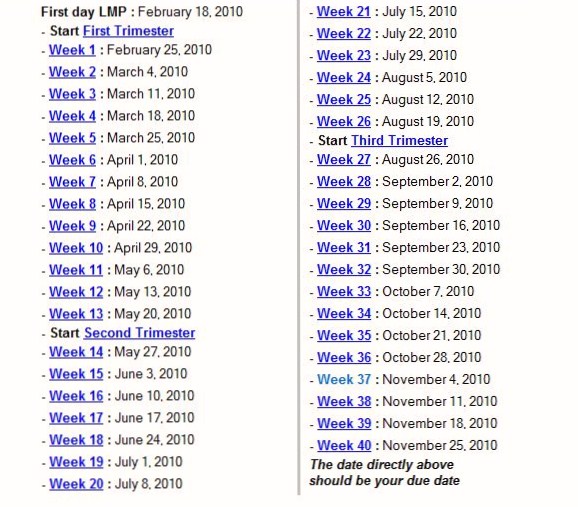 Pregnancy Timeline