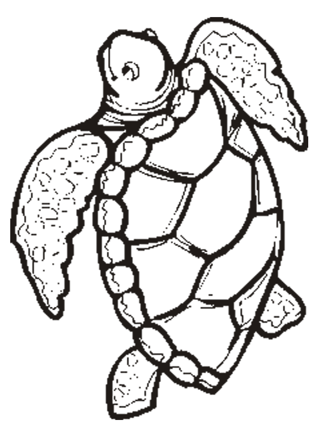 Free Printable ANimal " Turtle " Coloring Pages