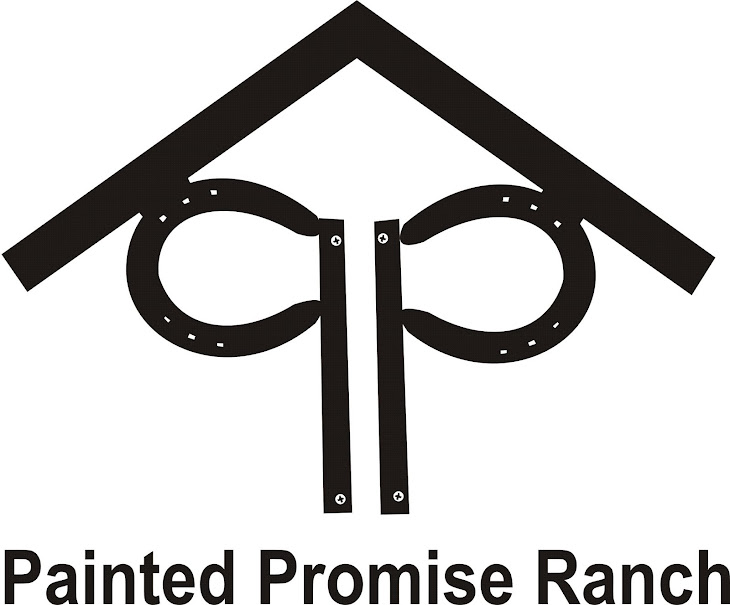 Painted Promise Ranch