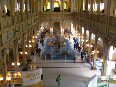 Museu Museu de História Natural, Santiago, Chile