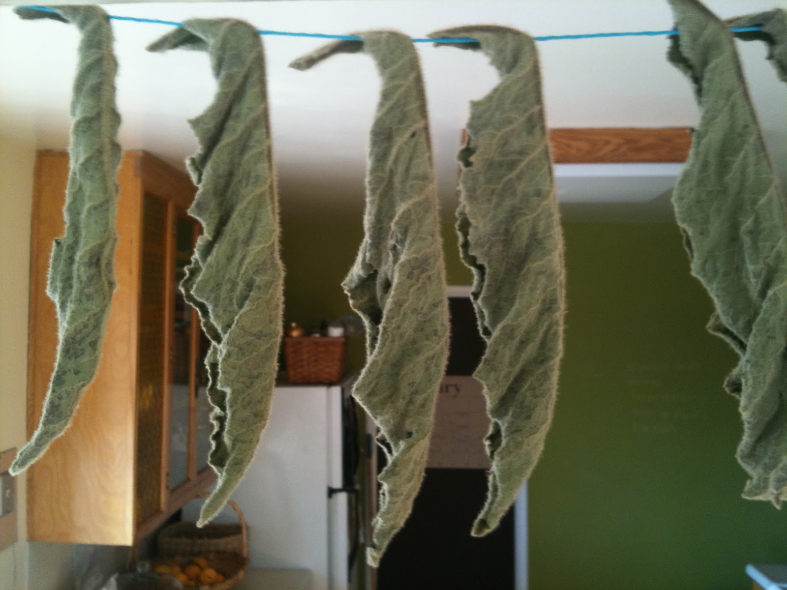 Soul Flower Farm Mullein Oil