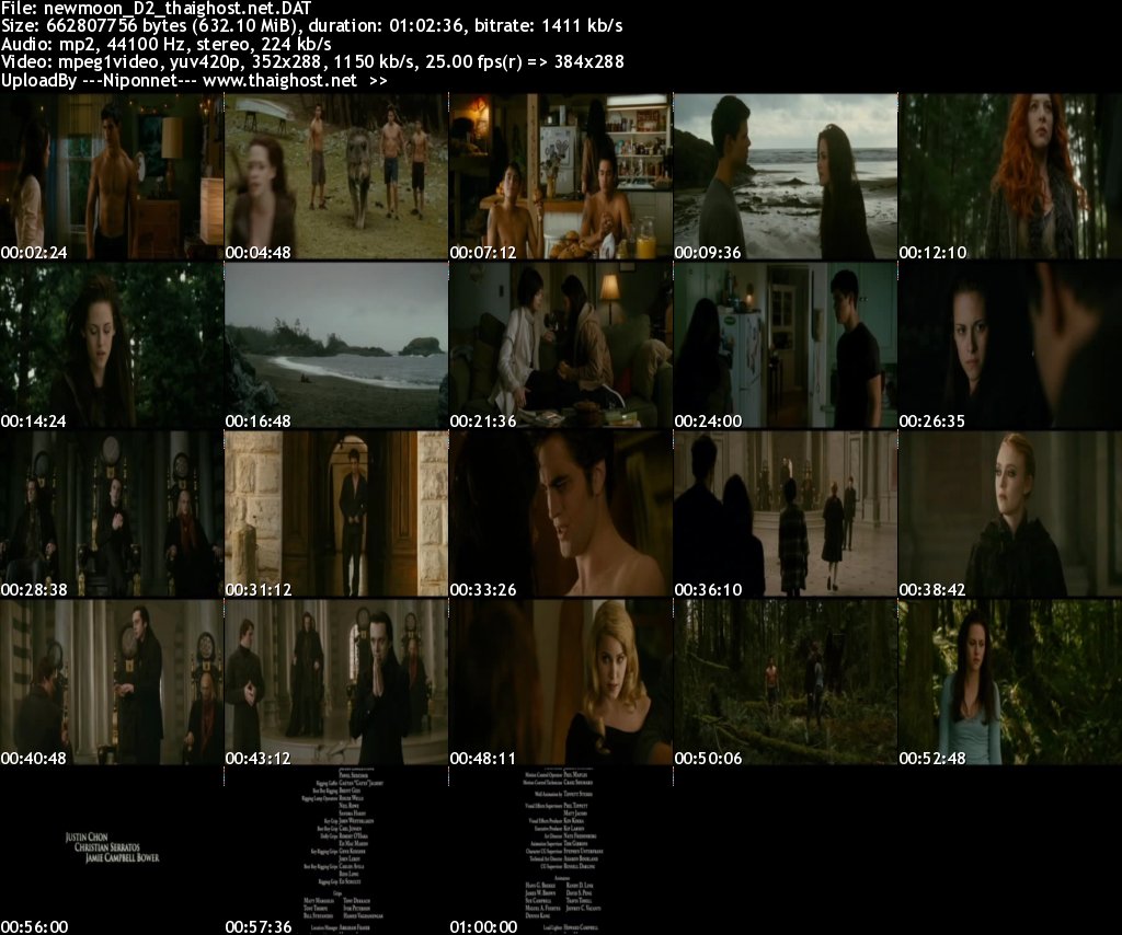 My Image 40