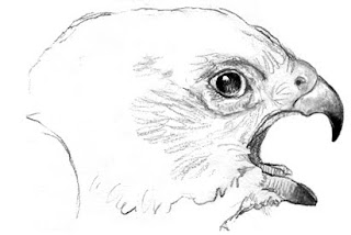Cool Nature Images To Draw Cool Nature Images To Draw