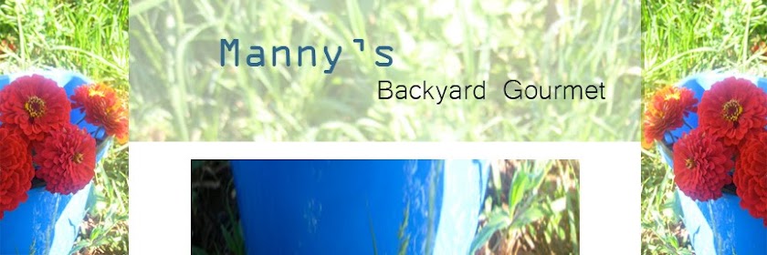 Manny's Backyard Gourmet