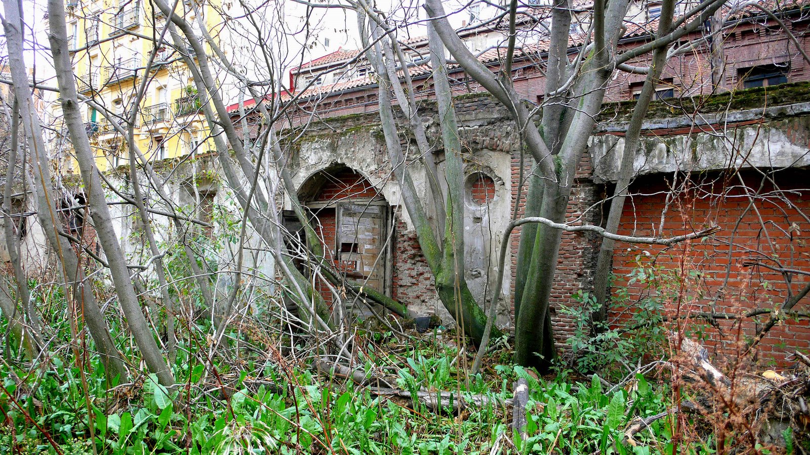 [estamos+dentro6.JPG]