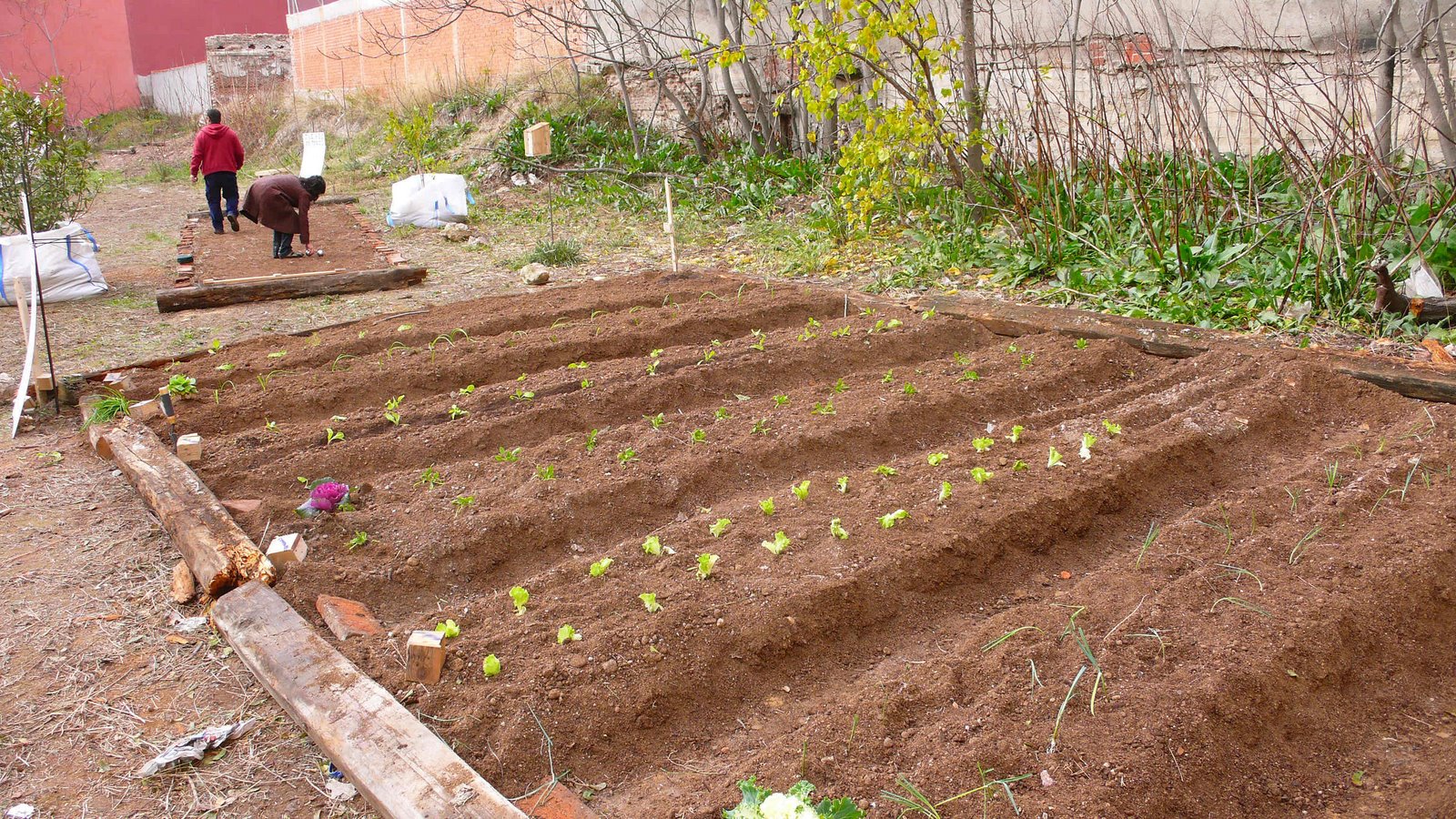 [huerto+y+petanca.JPG]