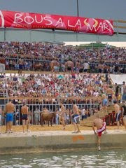 BOUS A LA MAR DE DENIA