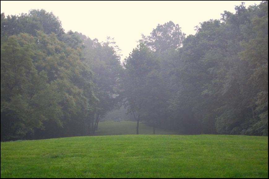 [morningfogoutback.jpg]