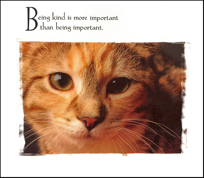 [being_kind.jpg]