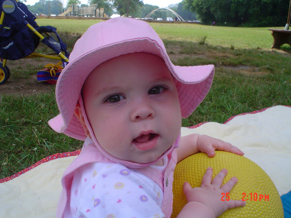 Picnic in Manassas, VA