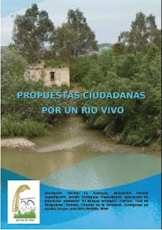 Propuestas Ciudadanas por un  Río Vivo